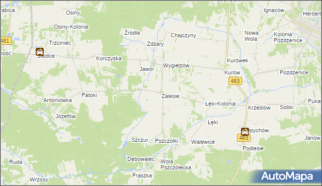 mapa Zalesie gmina Zelów, Zalesie gmina Zelów na mapie Targeo