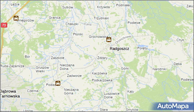 mapa Żdżary gmina Radgoszcz, Żdżary gmina Radgoszcz na mapie Targeo