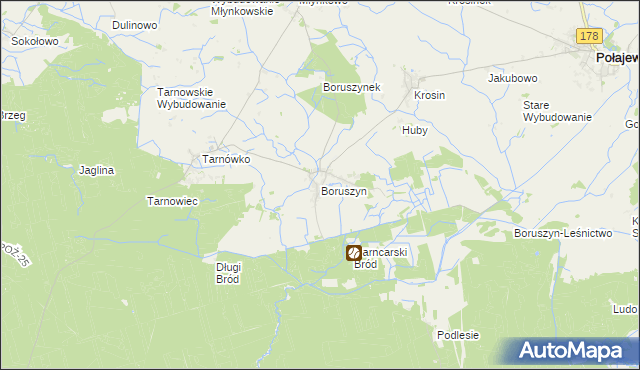 mapa Boruszyn gmina Połajewo, Boruszyn gmina Połajewo na mapie Targeo