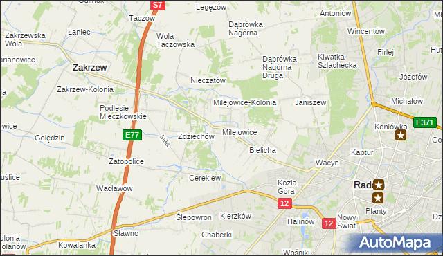 mapa Milejowice gmina Zakrzew, Milejowice gmina Zakrzew na mapie Targeo