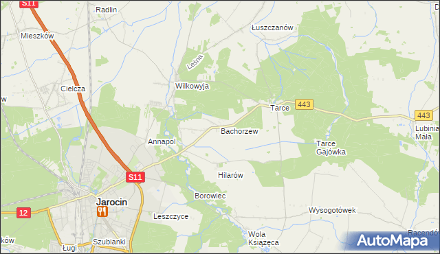 mapa Bachorzew, Bachorzew na mapie Targeo