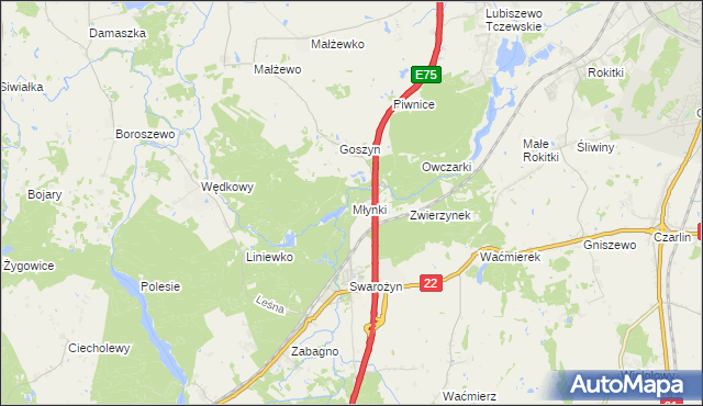 mapa Młynki gmina Tczew, Młynki gmina Tczew na mapie Targeo