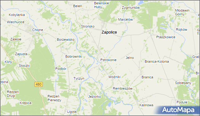 mapa Pstrokonie, Pstrokonie na mapie Targeo