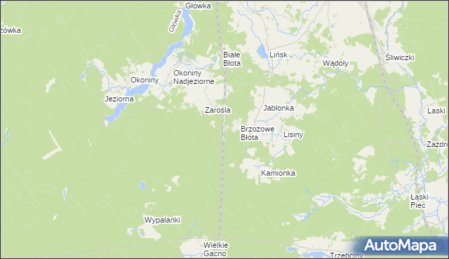 mapa Zarośle gmina Śliwice, Zarośle gmina Śliwice na mapie Targeo