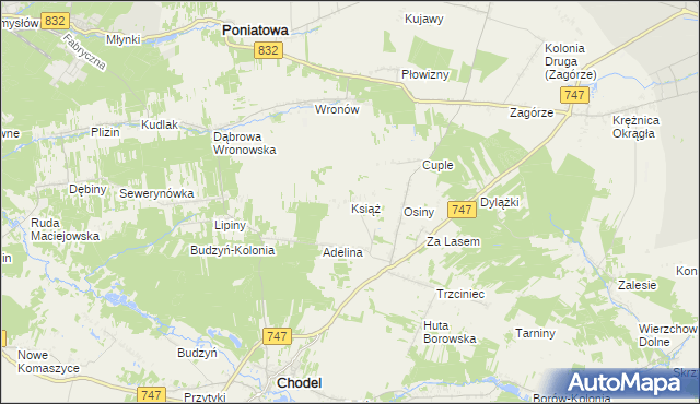 mapa Książ gmina Chodel, Książ gmina Chodel na mapie Targeo
