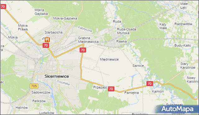 mapa Miedniewice gmina Skierniewice, Miedniewice gmina Skierniewice na mapie Targeo