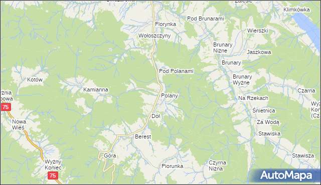 mapa Polany gmina Krynica-Zdrój, Polany gmina Krynica-Zdrój na mapie Targeo