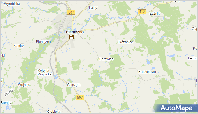 mapa Borowiec gmina Pieniężno, Borowiec gmina Pieniężno na mapie Targeo