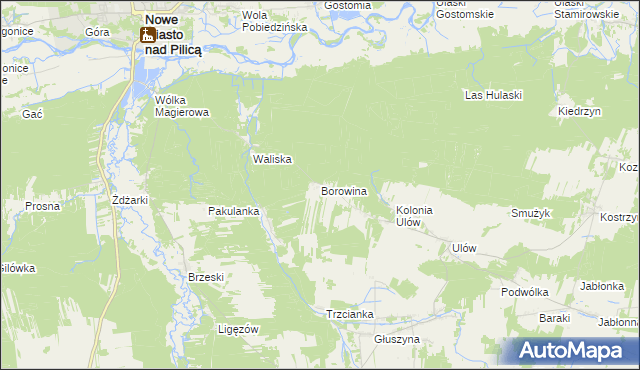 mapa Borowina gmina Nowe Miasto nad Pilicą, Borowina gmina Nowe Miasto nad Pilicą na mapie Targeo