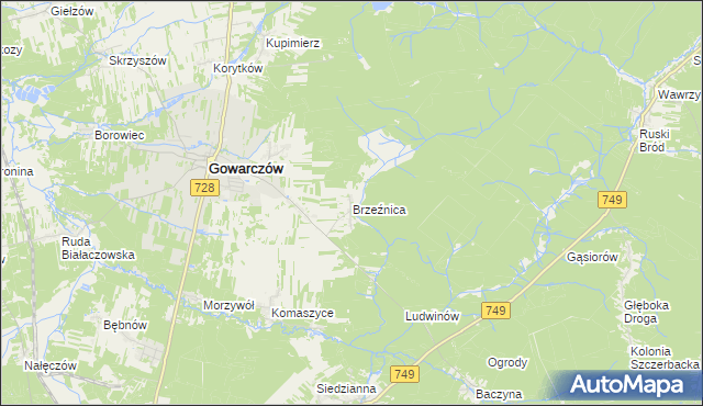 mapa Brzeźnica gmina Gowarczów, Brzeźnica gmina Gowarczów na mapie Targeo