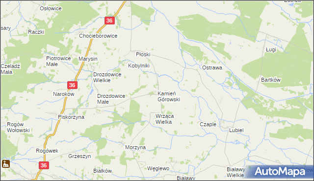 mapa Kamień Górowski, Kamień Górowski na mapie Targeo