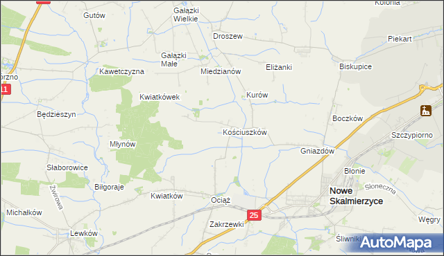 mapa Kościuszków gmina Nowe Skalmierzyce, Kościuszków gmina Nowe Skalmierzyce na mapie Targeo