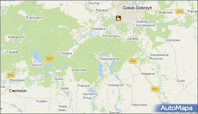 mapa Paliwodzizna, Paliwodzizna na mapie Targeo