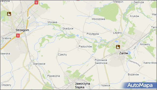 mapa Pastuchów, Pastuchów na mapie Targeo