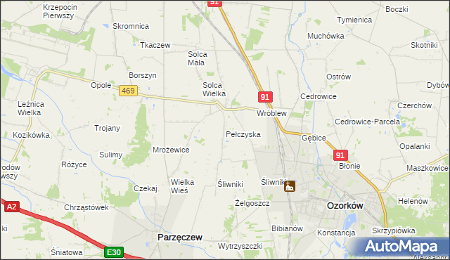 mapa Pełczyska gmina Ozorków, Pełczyska gmina Ozorków na mapie Targeo