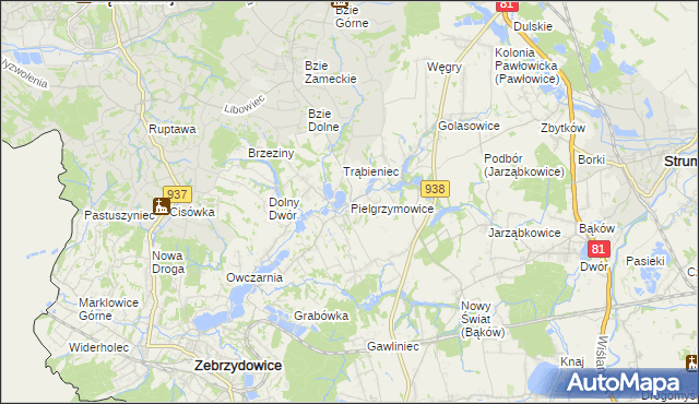 mapa Pielgrzymowice gmina Pawłowice, Pielgrzymowice gmina Pawłowice na mapie Targeo