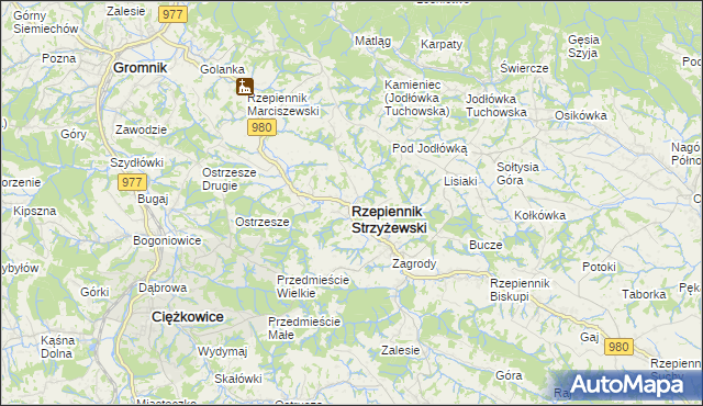 mapa Rzepiennik Strzyżewski, Rzepiennik Strzyżewski na mapie Targeo