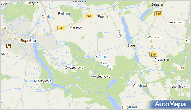 mapa Sierniki gmina Rogoźno, Sierniki gmina Rogoźno na mapie Targeo