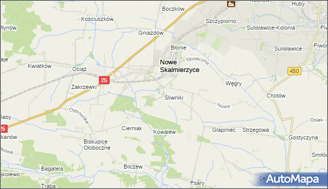 mapa Śliwniki gmina Nowe Skalmierzyce, Śliwniki gmina Nowe Skalmierzyce na mapie Targeo