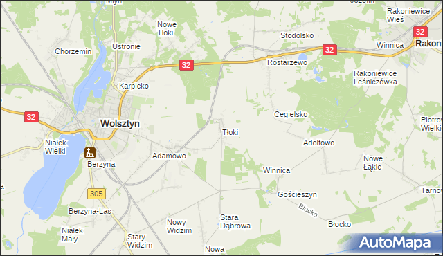 mapa Tłoki gmina Wolsztyn, Tłoki gmina Wolsztyn na mapie Targeo