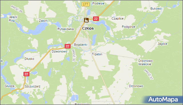 mapa Trzebin gmina Człopa, Trzebin gmina Człopa na mapie Targeo