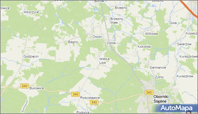 mapa Wielka Lipa, Wielka Lipa na mapie Targeo