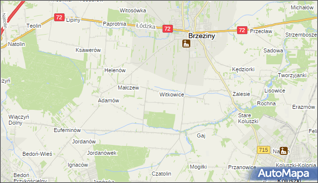mapa Witkowice gmina Brzeziny, Witkowice gmina Brzeziny na mapie Targeo