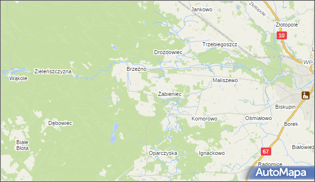 mapa Żabieniec gmina Lipno, Żabieniec gmina Lipno na mapie Targeo