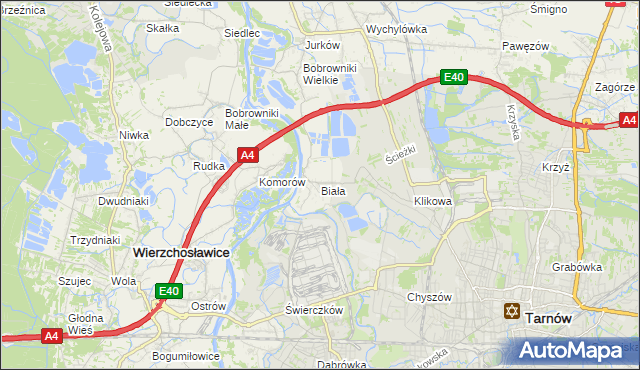 mapa Biała gmina Tarnów, Biała gmina Tarnów na mapie Targeo