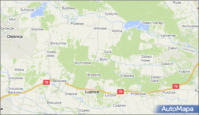 mapa Borki gmina Łubnice, Borki gmina Łubnice na mapie Targeo
