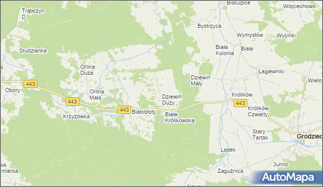 mapa Dziewiń Duży, Dziewiń Duży na mapie Targeo