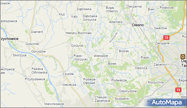 mapa Wielopole gmina Olesno, Wielopole gmina Olesno na mapie Targeo