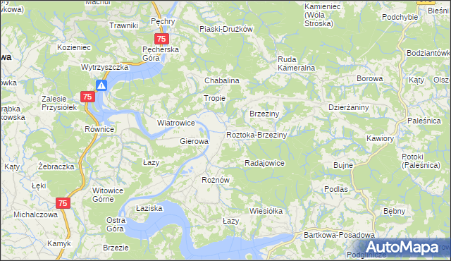mapa Roztoka-Brzeziny, Roztoka-Brzeziny na mapie Targeo