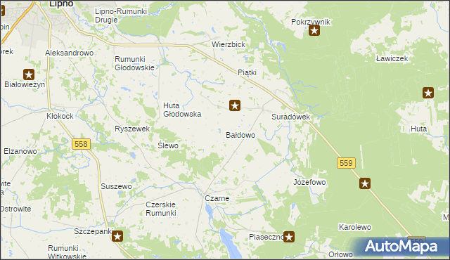 mapa Bałdowo gmina Wielgie, Bałdowo gmina Wielgie na mapie Targeo