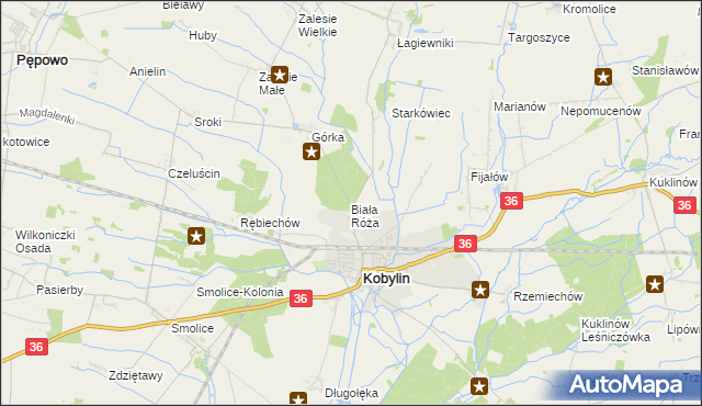 mapa Biała Róża gmina Kobylin, Biała Róża gmina Kobylin na mapie Targeo