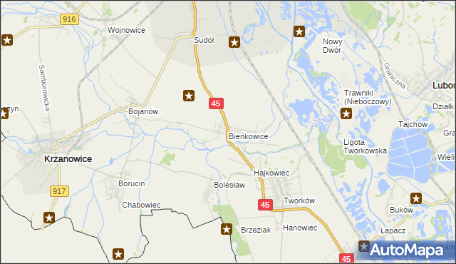 mapa Bieńkowice gmina Krzyżanowice, Bieńkowice gmina Krzyżanowice na mapie Targeo
