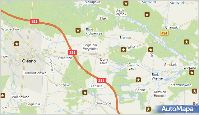 mapa Borki Małe gmina Olesno, Borki Małe gmina Olesno na mapie Targeo