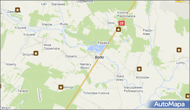 mapa Borki powiat radzyński, Borki powiat radzyński na mapie Targeo