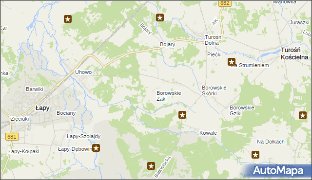 mapa Borowskie Żaki, Borowskie Żaki na mapie Targeo