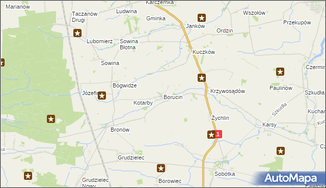 mapa Borucin gmina Pleszew, Borucin gmina Pleszew na mapie Targeo