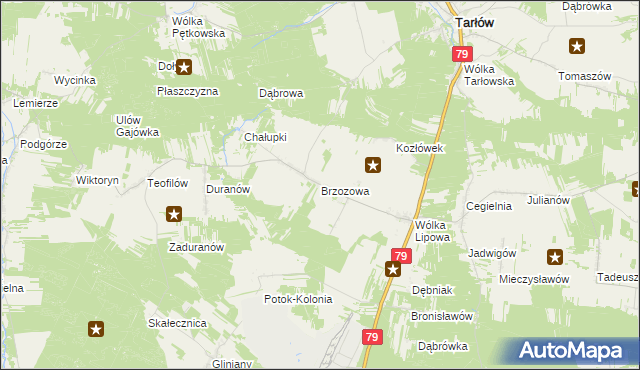 mapa Brzozowa gmina Tarłów, Brzozowa gmina Tarłów na mapie Targeo