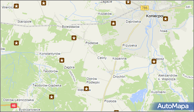 mapa Celiny gmina Lelów, Celiny gmina Lelów na mapie Targeo