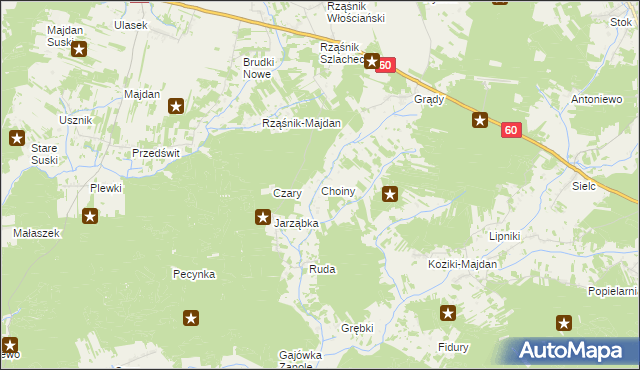 mapa Choiny gmina Wąsewo, Choiny gmina Wąsewo na mapie Targeo