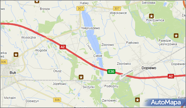 mapa Cieśle gmina Buk, Cieśle gmina Buk na mapie Targeo