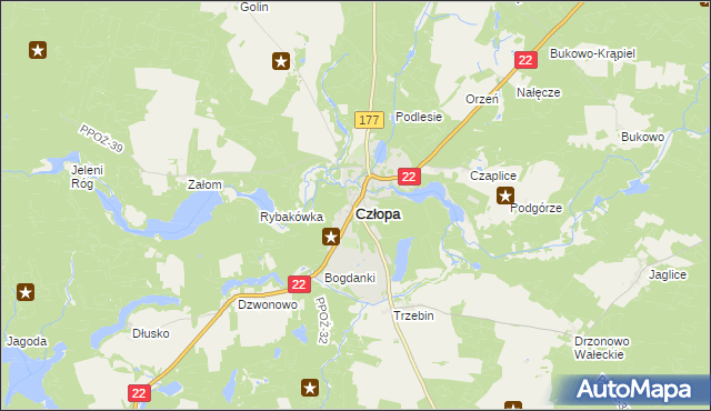 mapa Człopa, Człopa na mapie Targeo