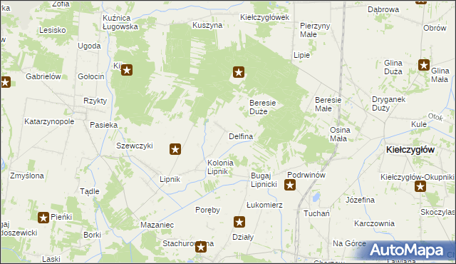 mapa Delfina gmina Siemkowice, Delfina gmina Siemkowice na mapie Targeo