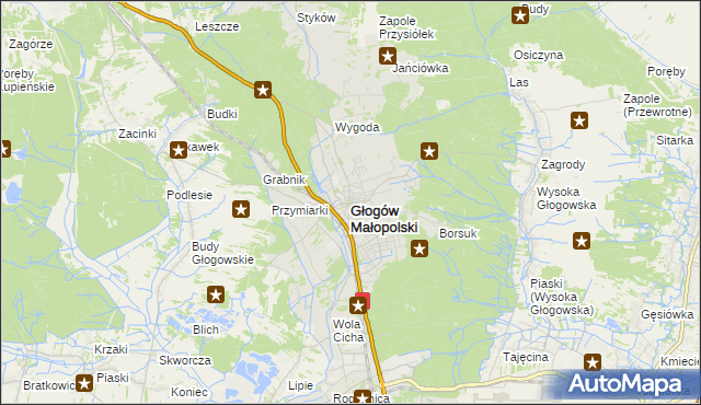 mapa Głogów Małopolski, Głogów Małopolski na mapie Targeo