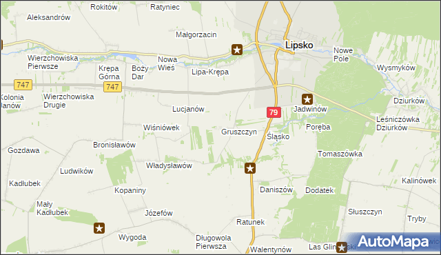 mapa Gruszczyn gmina Lipsko, Gruszczyn gmina Lipsko na mapie Targeo