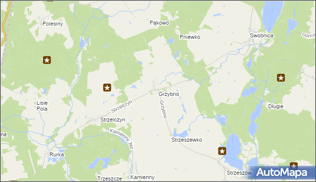 mapa Grzybno gmina Chojna, Grzybno gmina Chojna na mapie Targeo