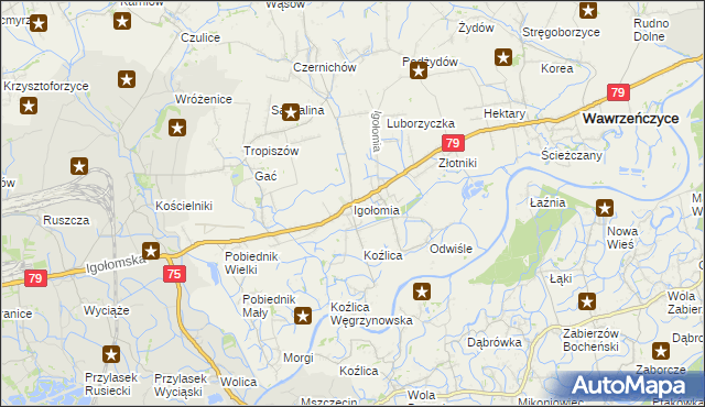 mapa Igołomia, Igołomia na mapie Targeo